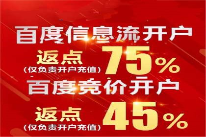 XX领域竞价广告的投放策略及效果展示